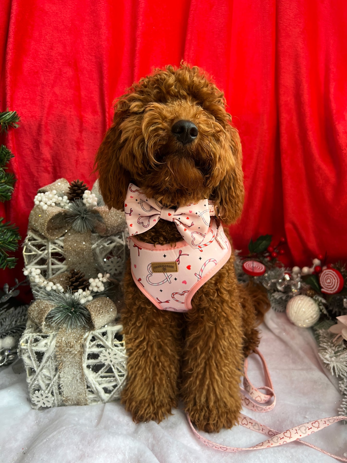 Pink Christmas Dog Bundle | Festive Love-Heart Candy Cane Harness, Matching Collar, Lead, Bow & Poop Bag Holder