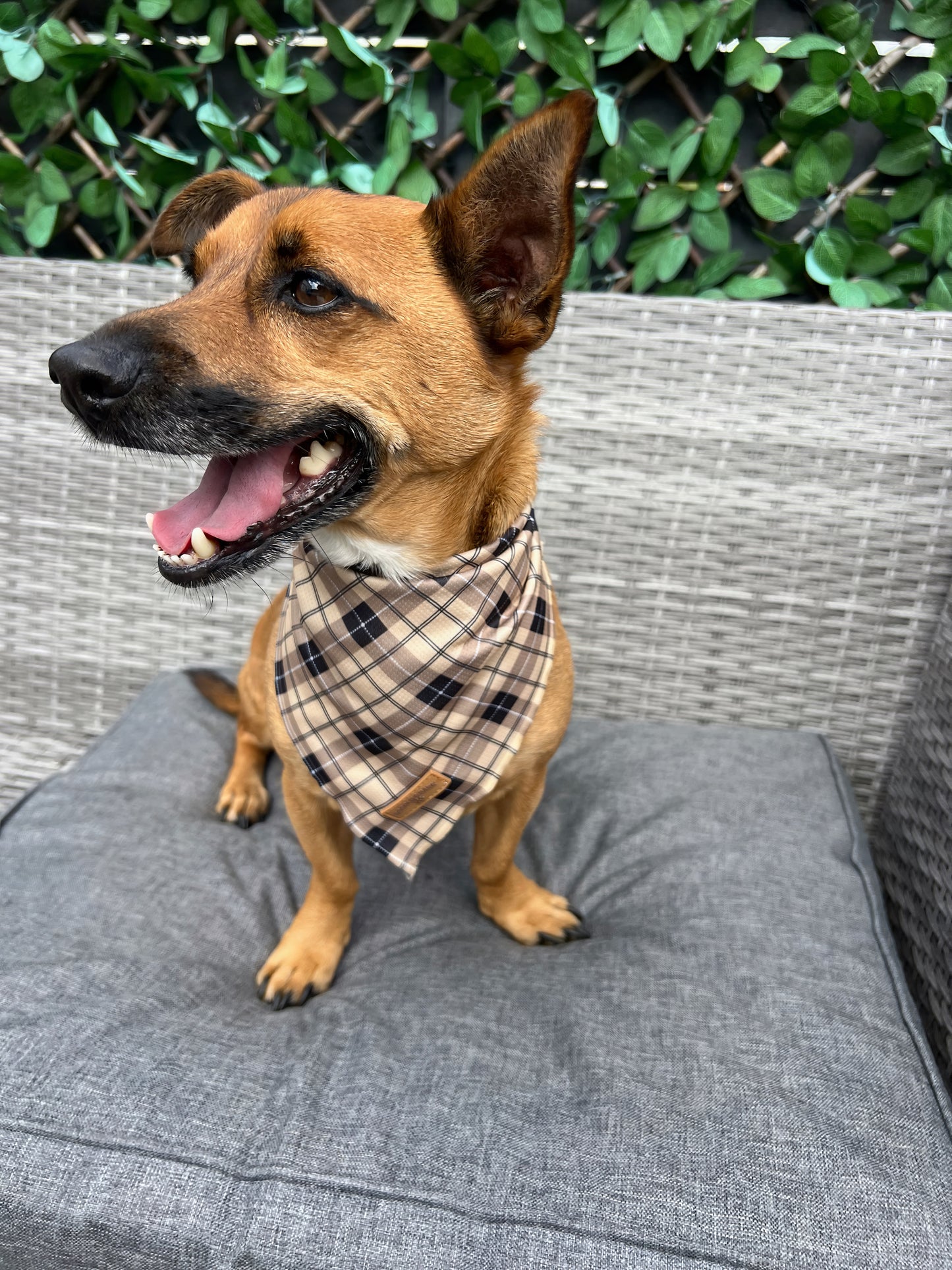 Brown Checkered Bandana
