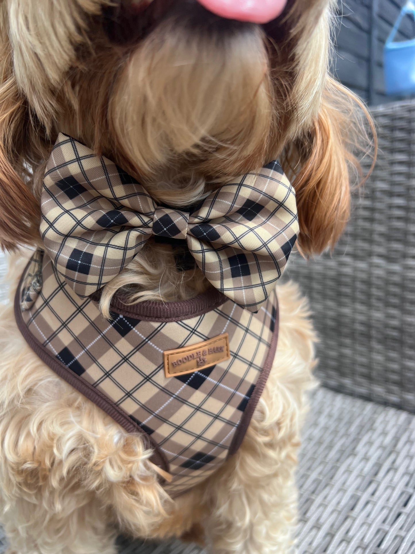 Brown Checkered Bow