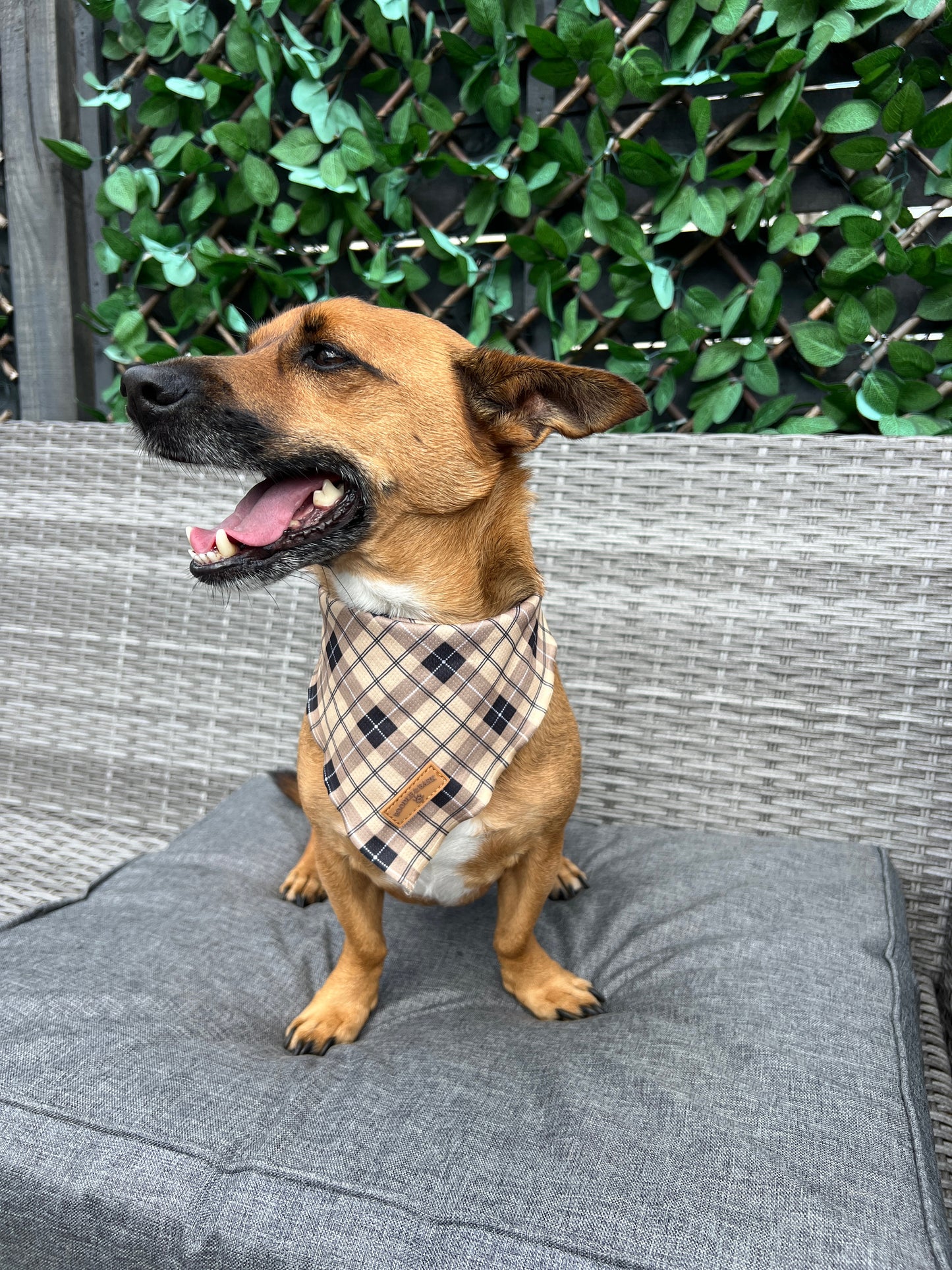 Brown Checkered Bandana