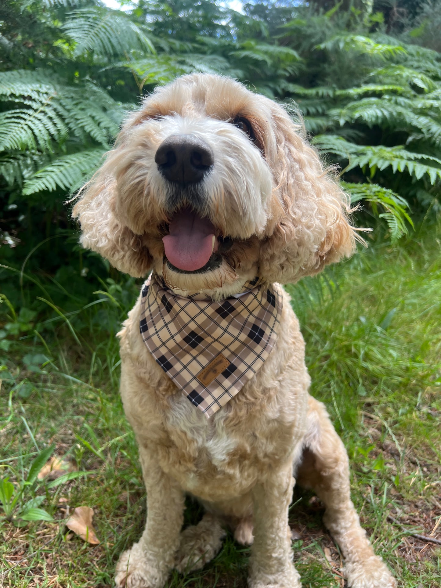 Brown Checkered Bandana