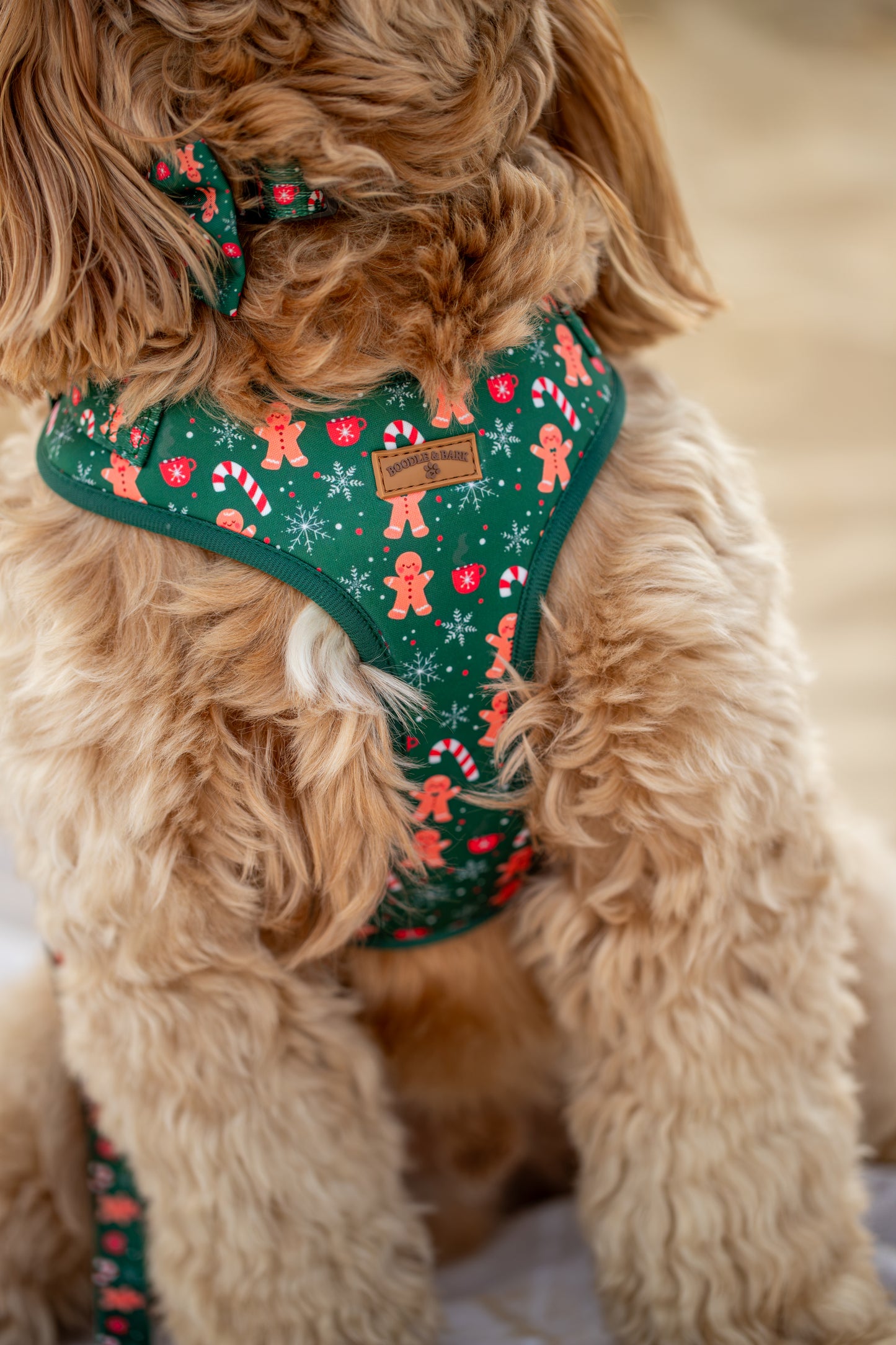 Green Christmas Dog Harness | Gingerbread & Candy Cane Print