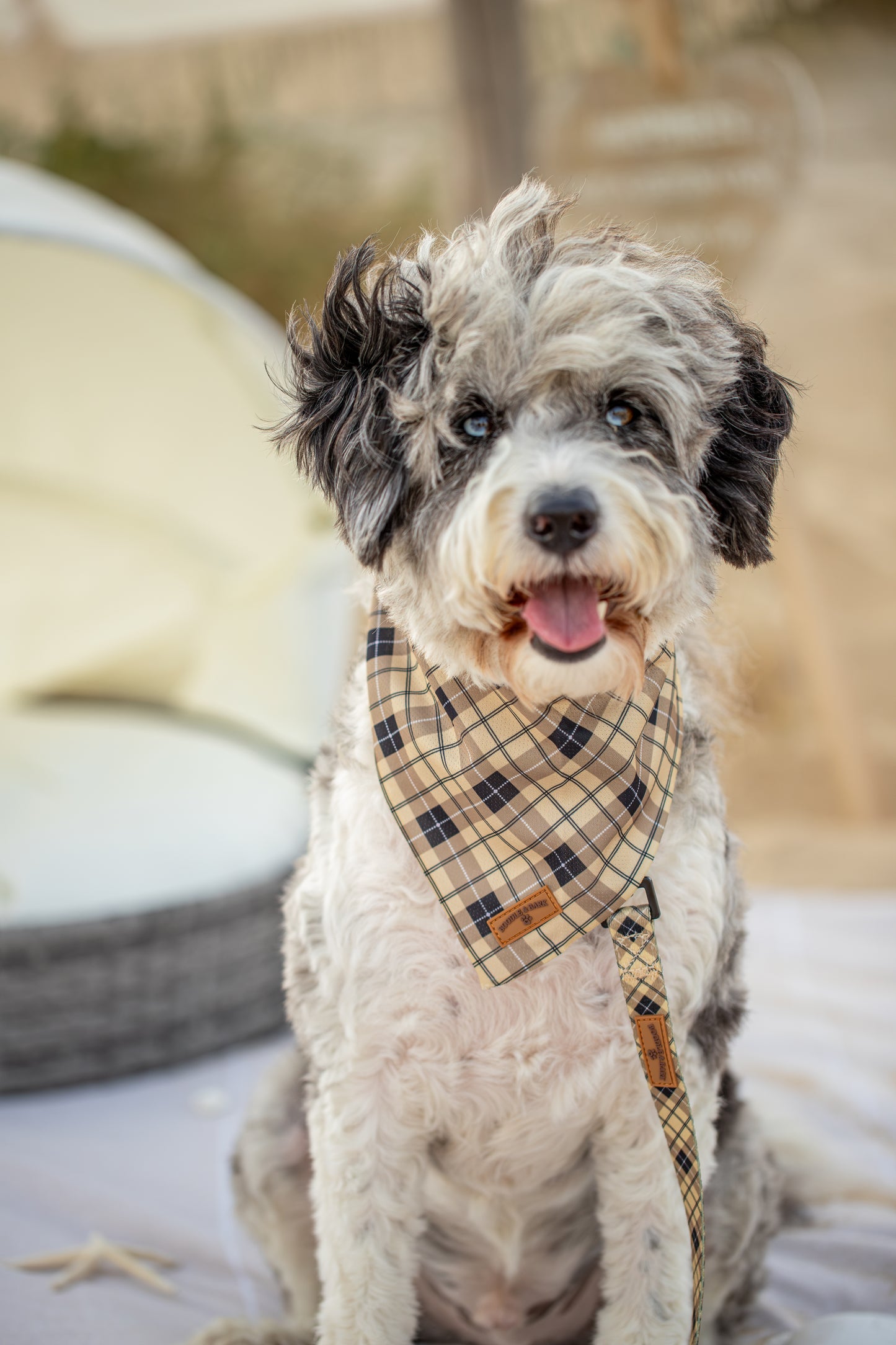 Brown Checkered Dog Bandana