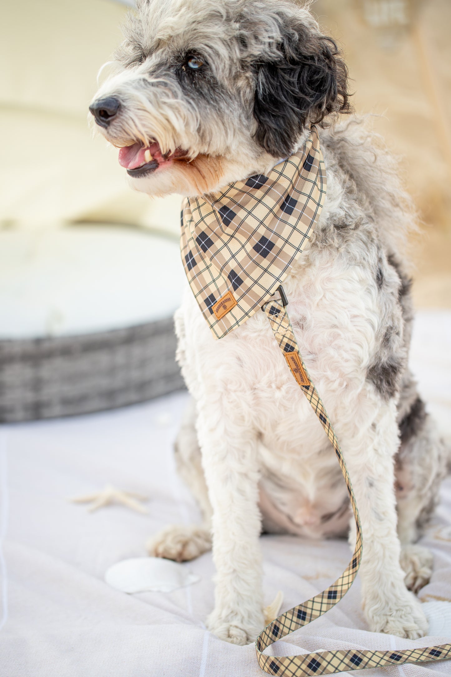 Brown Checkered Dog Bandana