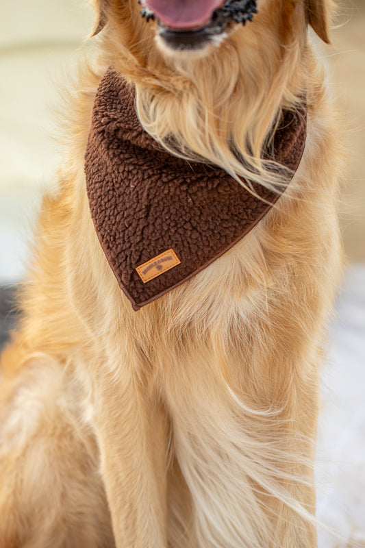 Cosy Brown Dog Bandana