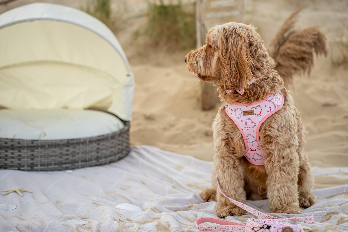 Pink Christmas Dog Harness | Love Heart & Candy Cane Print