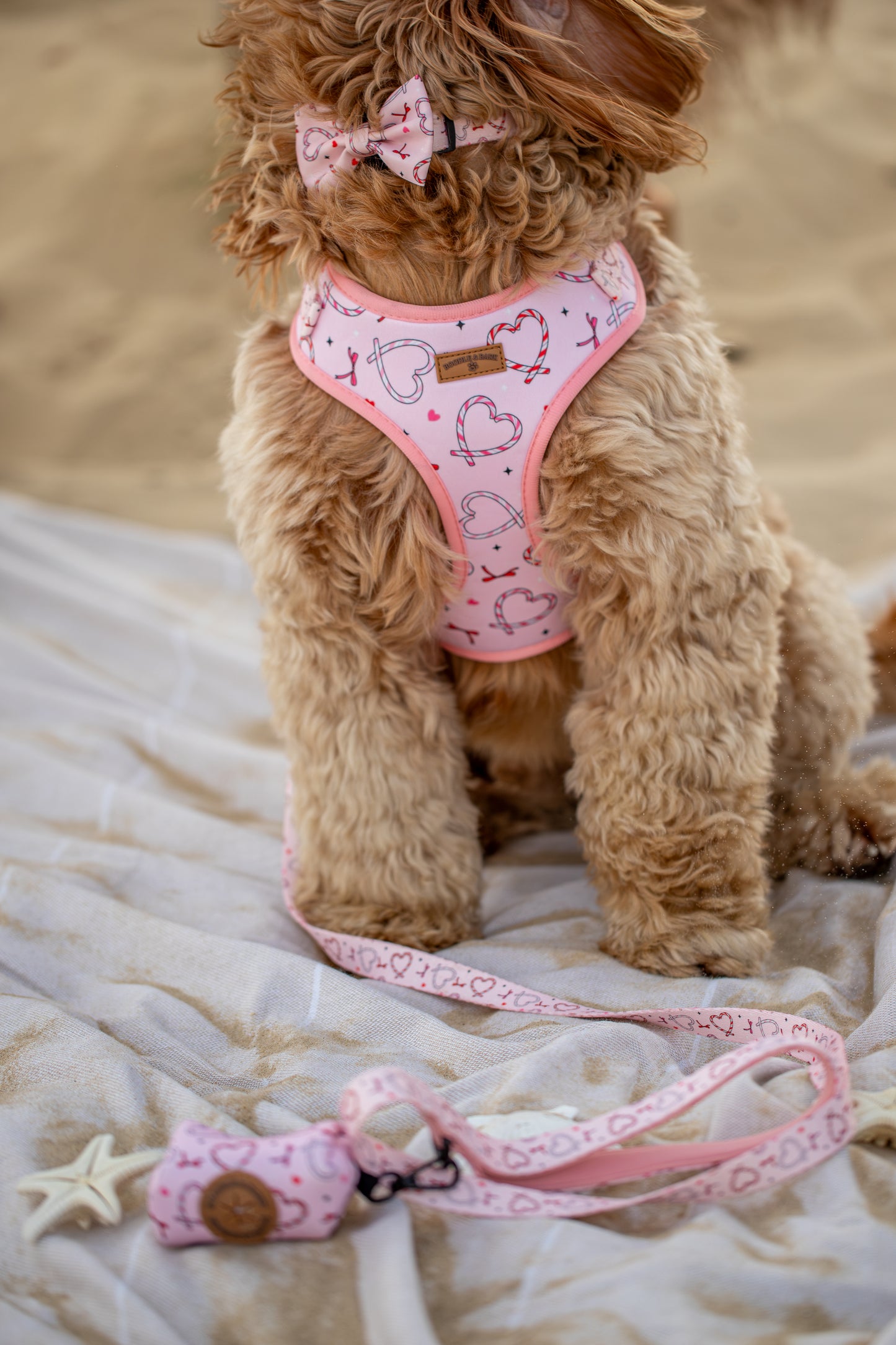 Pink Christmas Dog Harness | Love Heart & Candy Cane Print