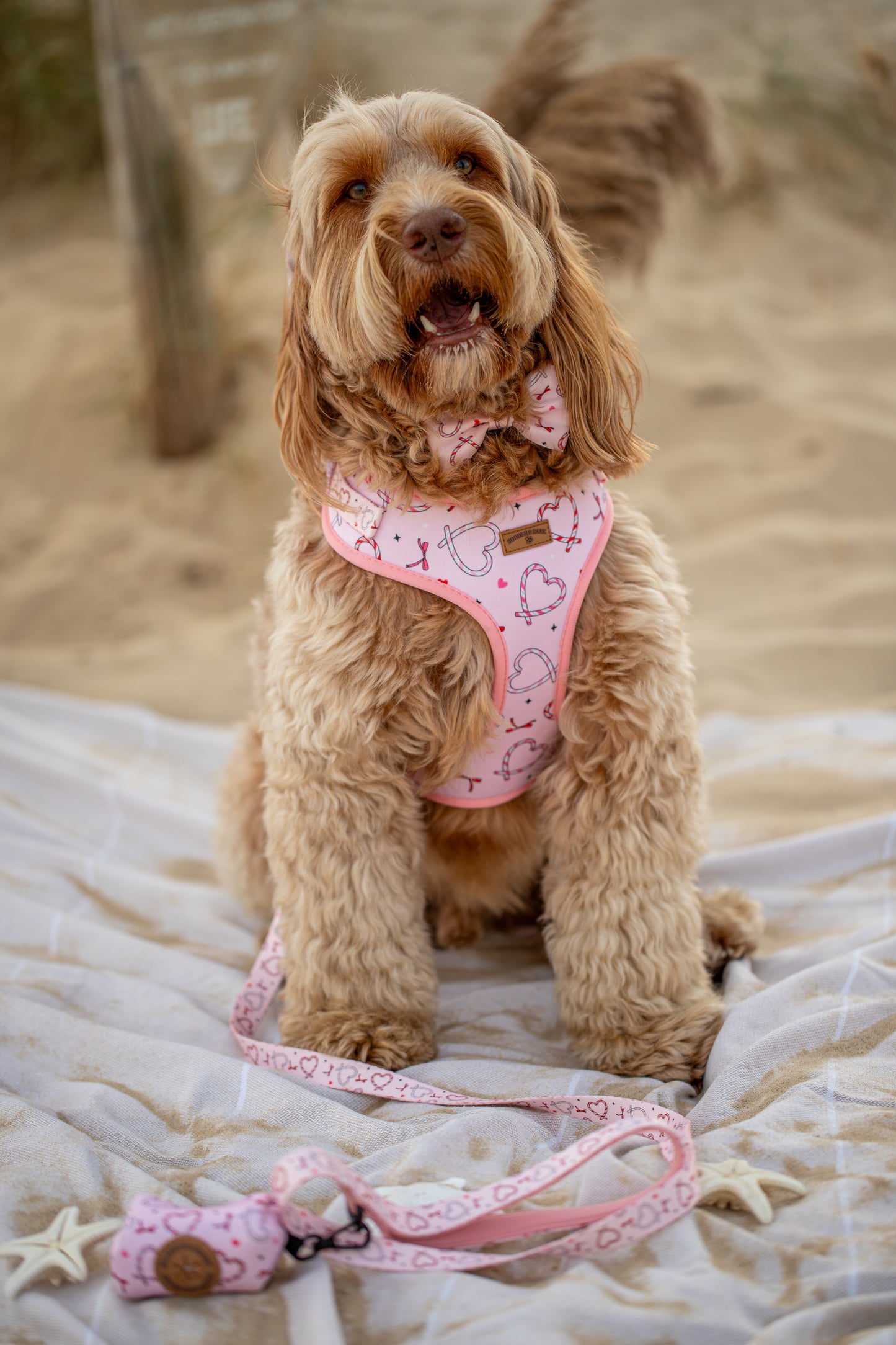 Pink Christmas Dog Harness | Love Heart & Candy Cane Print