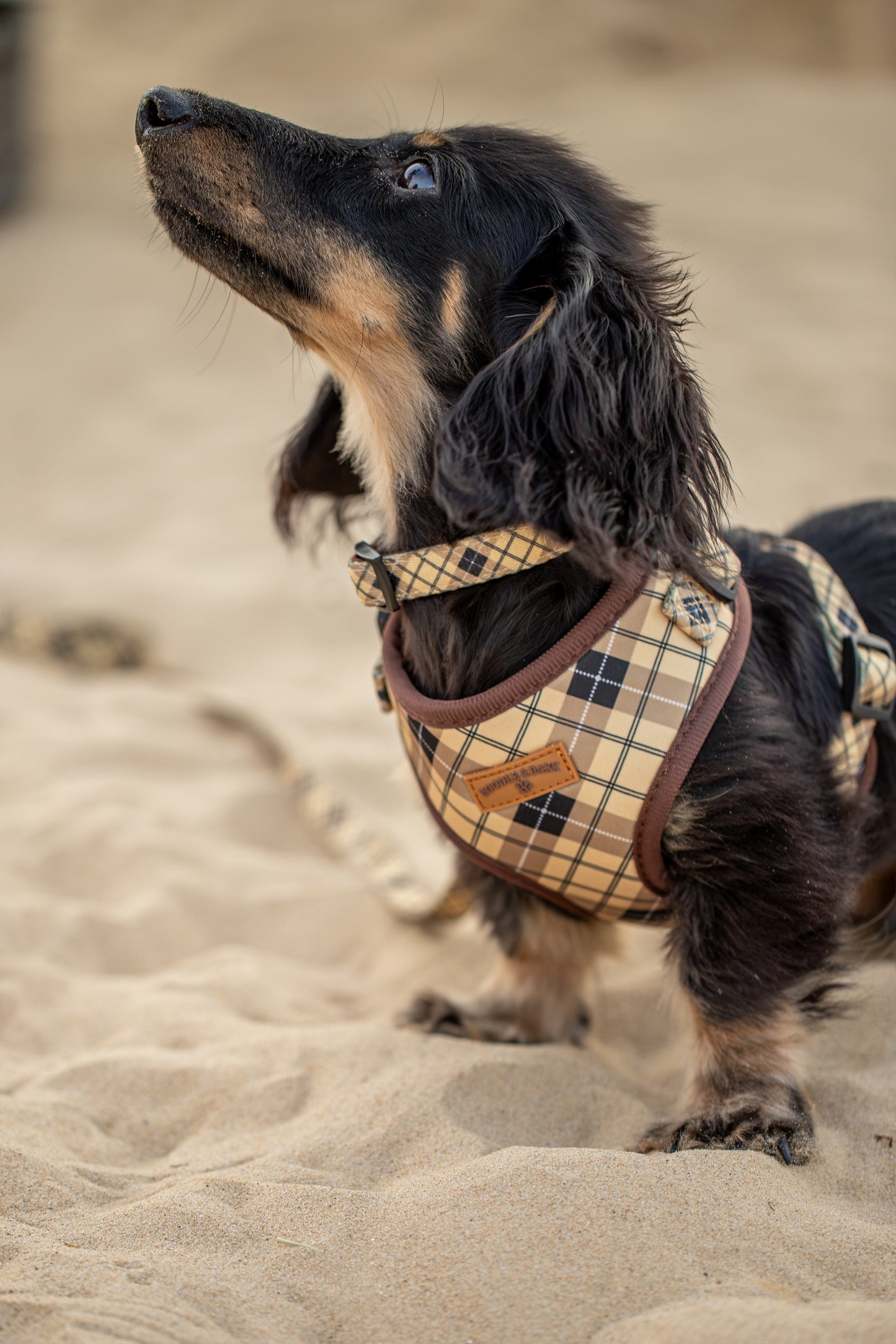Brown Checkered 6-Piece Matching Bundle