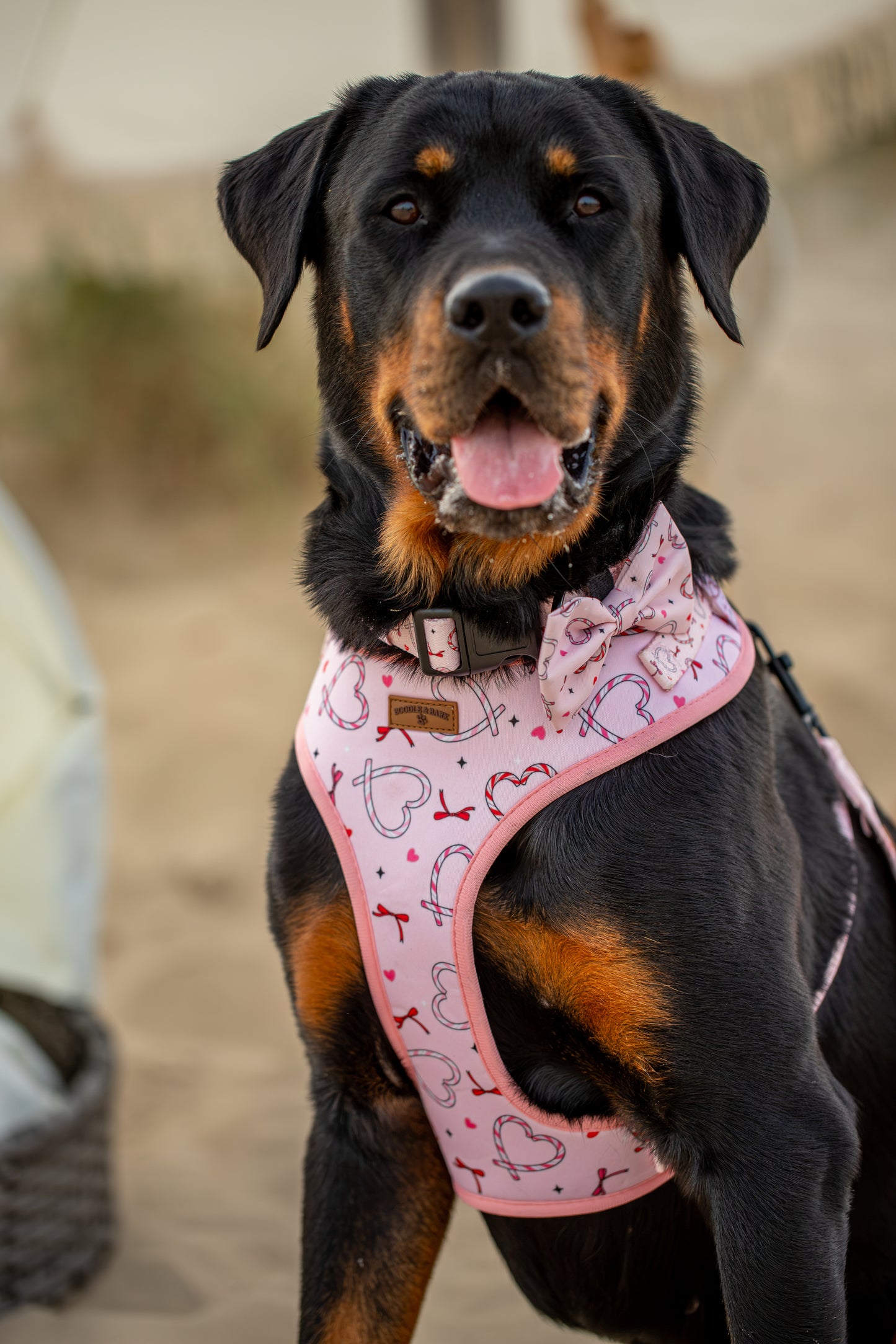 Pink Christmas Dog Harness | Love Heart & Candy Cane Print
