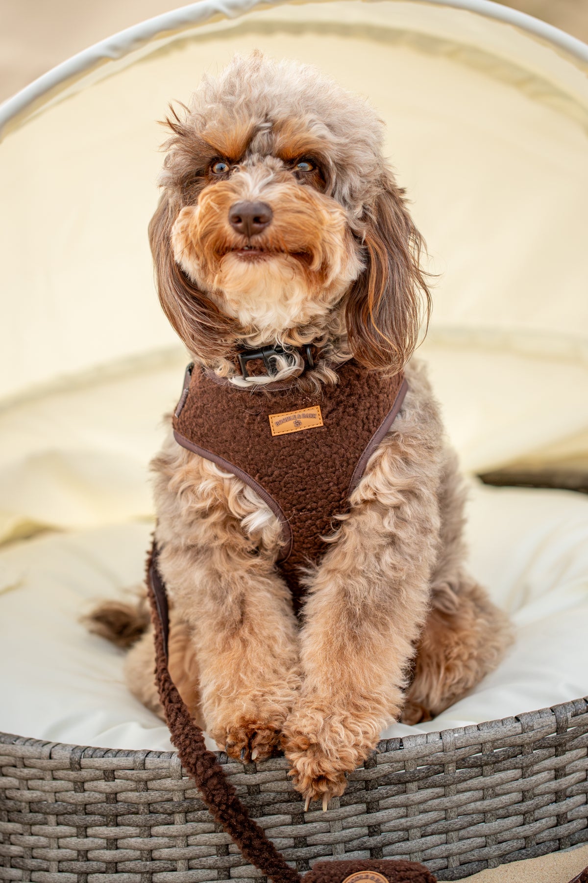 Cosy Chocolate Brown 6-Piece Bundle