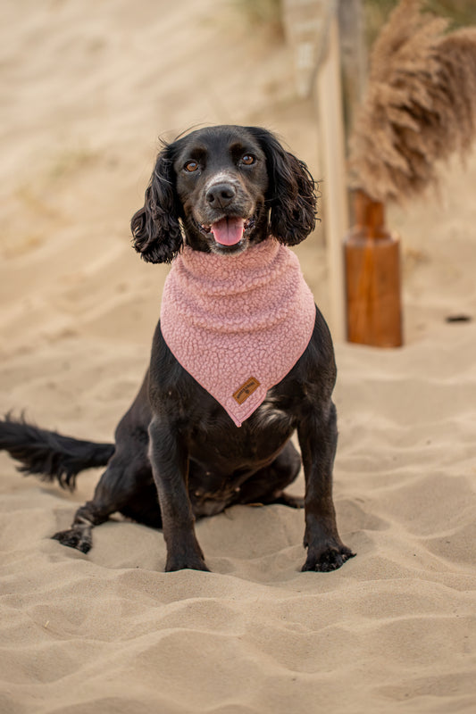 Cosy Pink Dog Bandana