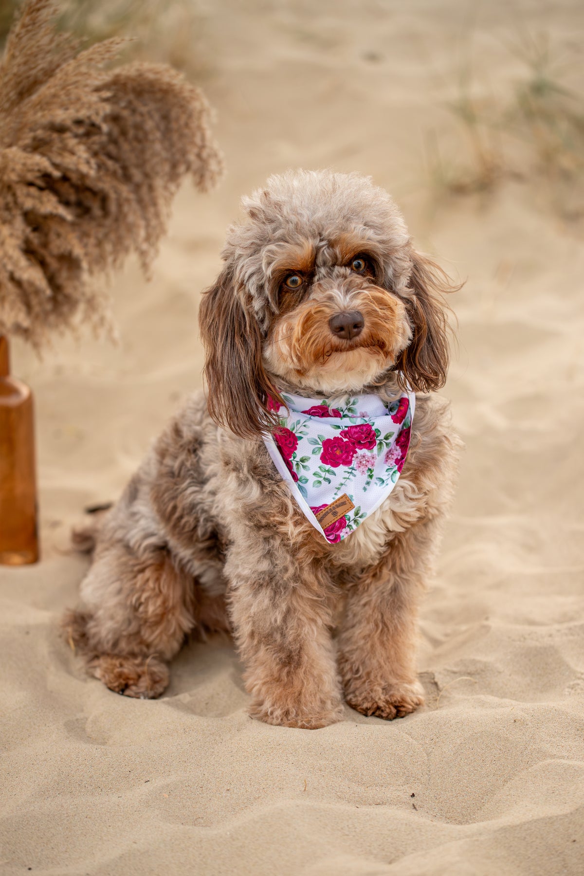 White Floral Dog Bandana