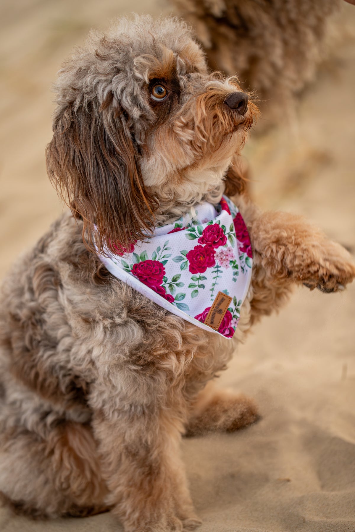 White Floral Dog Bandana