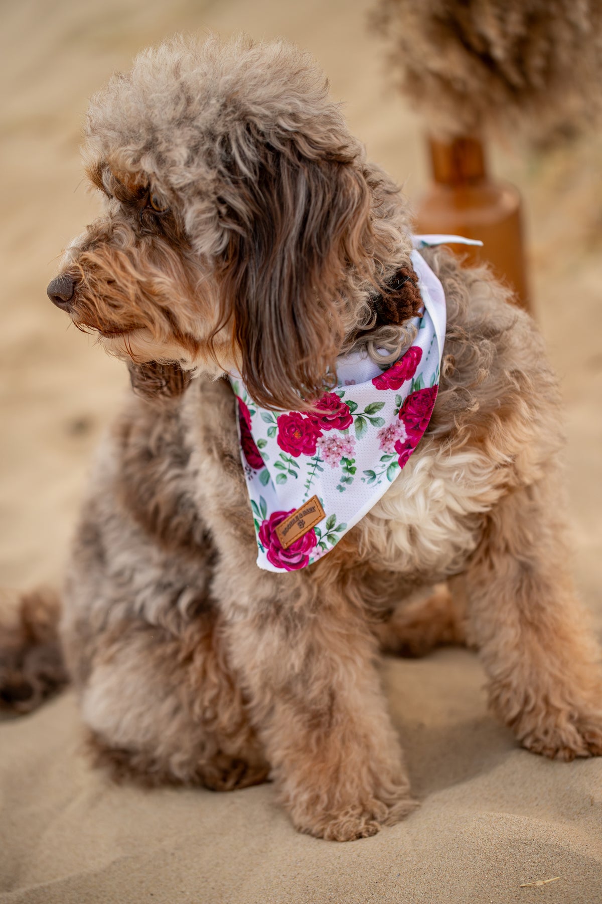 White Floral Dog Bandana
