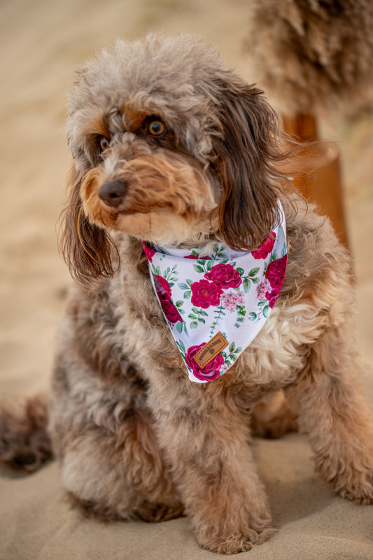 White Floral Dog Bandana