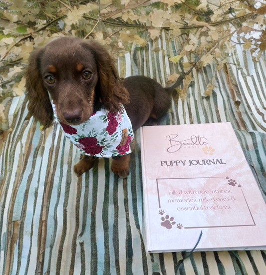 Boodle and Bark Puppy Journal