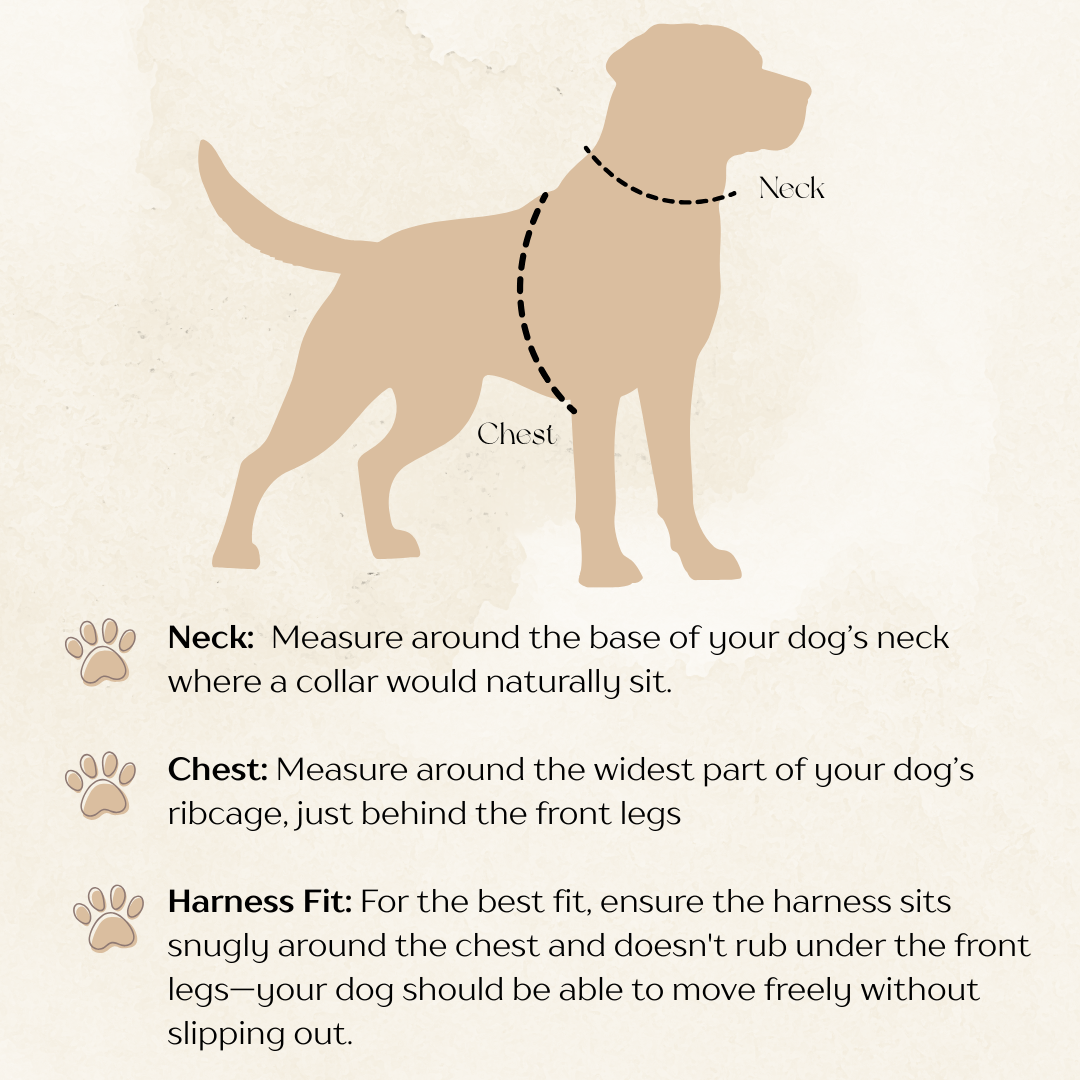 Red Checkered Christmas Dog Bundle | Faux-Fur Trim Harness, Matching Collar, Lead, Bow & Poop Bag Holder