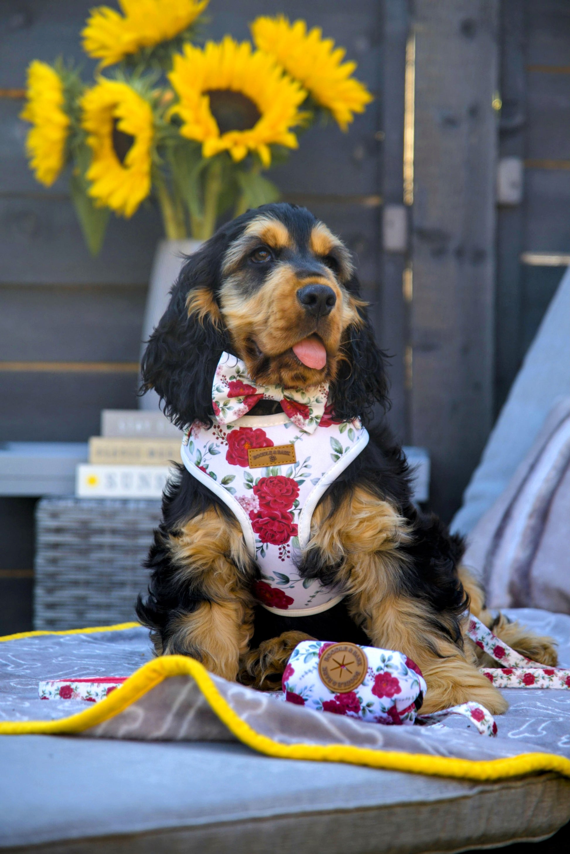 Dog wearing a floral harness sitting on a table with sunflowers in the background